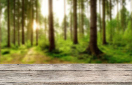 Wooden table top on blur green forest or garden with ray light.Fresh and Relax concept.perspective view.For montage product display or design key visual layout.View of copy space.の写真素材