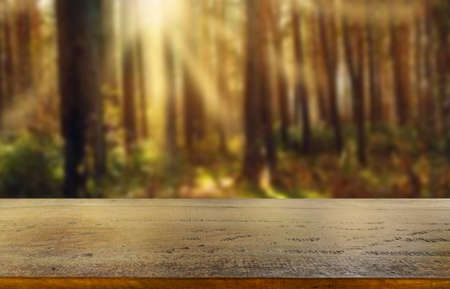 Wooden table top on blur green forest or garden with ray light.Fresh and Relax concept.perspective view.For montage product display or design key visual layout.View of copy space.の写真素材