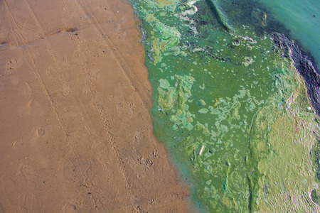Polluted water at the coastlineの写真素材