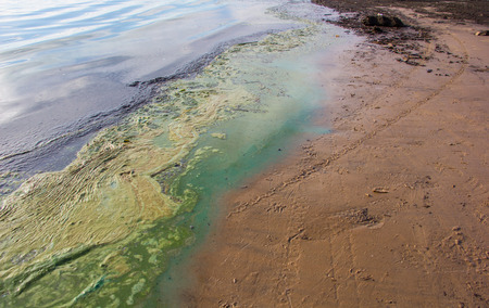 Polluted water at the coastline