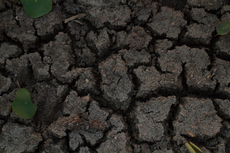 soil texture cracked dirt background earth の写真素材