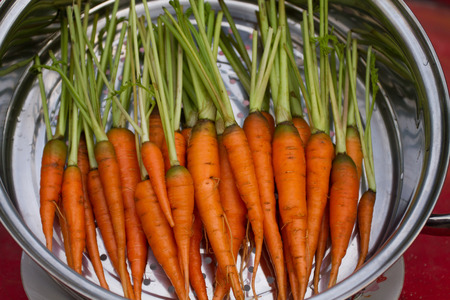 Baby carrot in the boilerの写真素材