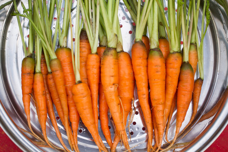 Baby carrot in the boilerの写真素材