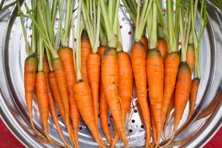 Baby carrot in the boilerの写真素材
