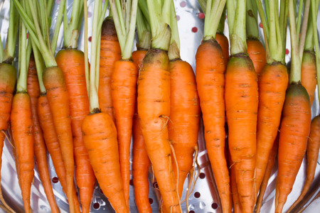Baby carrot in the boilerの写真素材