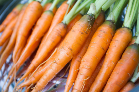 Baby carrot in the boilerの写真素材