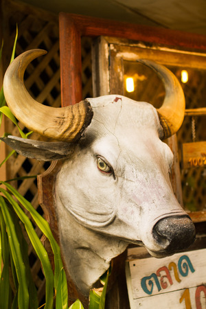 Bull's Head in the Big Woods.の写真素材