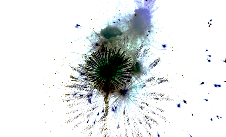 The Fireworks at the wedding in a mountain restaurant.の写真素材