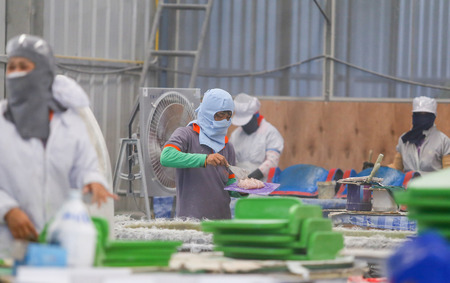 Thailand Factory chair and rowing fiberglass.のeditorial素材