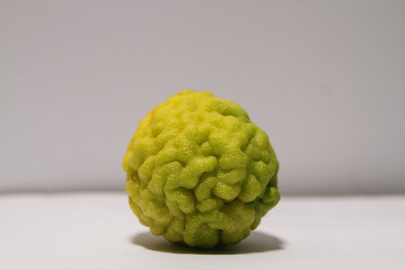 Thai Bergamot is vegetable used for cooking To have a delicious taste And there are many useful herbs Such as used in the care of the hair and scalp, with white backgroundの写真素材