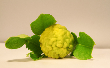 Thai Bergamot is vegetable used for cooking To have a delicious taste And there are many useful herbs Such as used in the care of the hair and scalp, with white backgroundの写真素材