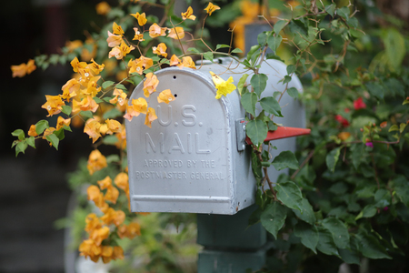 Old mail box in tree  thailand