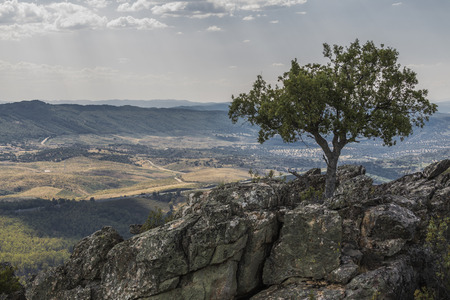 image of a tree on top of a mountain above the valley in Extremaduraの写真素材