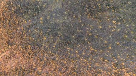 Aerial view of a plowed field