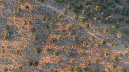 Aerial view of a plowed field