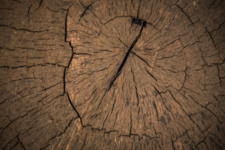 wood background textureの写真素材
