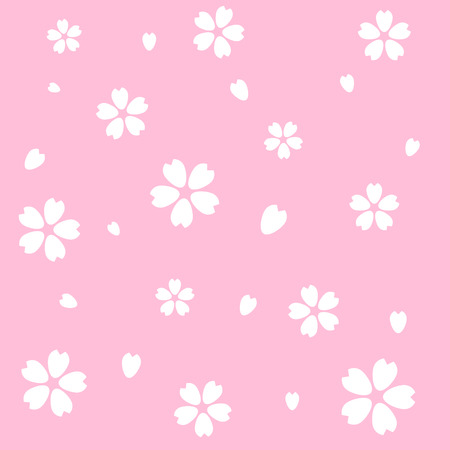 seamless white cherry blossom (Sakura) on pink background, vector and illustrationのイラスト素材