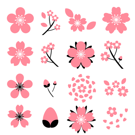 cherry blossom(Sakura) icon set isolated on white backgroundのイラスト素材