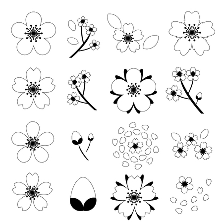 cherry blossom(Sakura) icon set isolated on white backgroundのイラスト素材