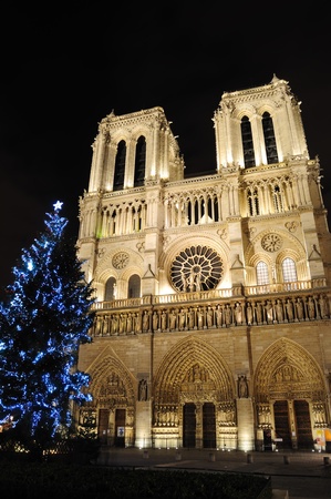 Notre Dame Cathedral with Christmas tree - Paris, Franceの写真素材