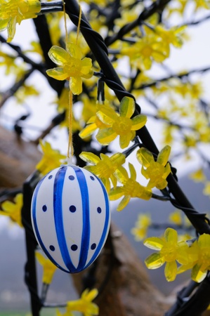 Easter eggsの写真素材