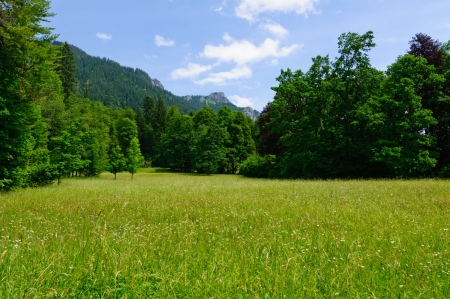 Bavarian Alps in Germanyの写真素材