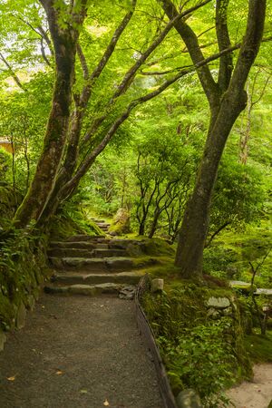 The amazing garden of Hosen-in templeの写真素材