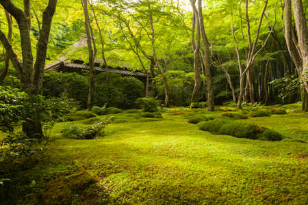 The Beautiful Gardens With the Shrine Has Been A Famous Moss Known as 'Gioji-temple Moss Carpet.'のeditorial素材