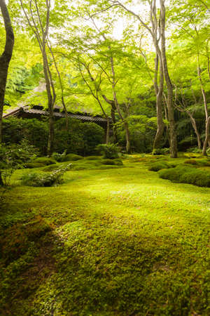 The Beautiful Gardens With the Shrine Has Been A Famous Moss Known as 'Gioji-temple Moss Carpet.'のeditorial素材