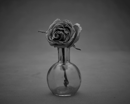 Roséの写真素材