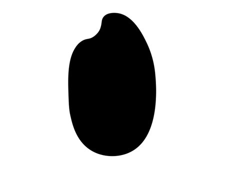 This is a rice grain silhouette icon.のイラスト素材