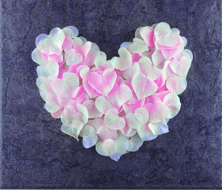 Heartの写真素材