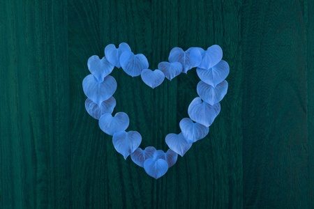 Heartの写真素材