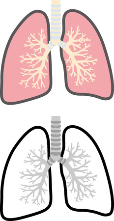 Lung cross-sectional viewのイラスト素材