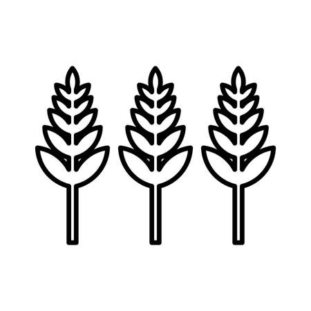 Harvest, seed, wheat ears icon is use in designing and developing websites, commercial, print media, web or any type of design project.のイラスト素材