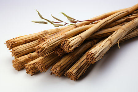 Cane Sticks on white background. A high quality image making by generative ai.の素材