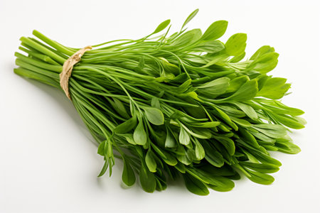 Dehydrated Chive on white background. A high quality image making by generative ai.の素材