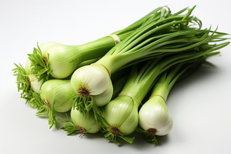 Spring Onion on white background. A high quality image making by generative ai.の素材