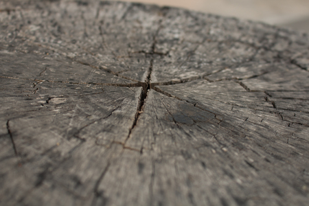 wood crackの写真素材