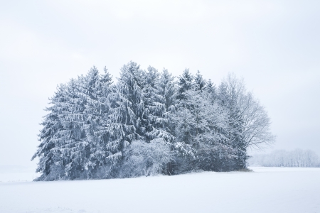 winter landscapeの写真素材