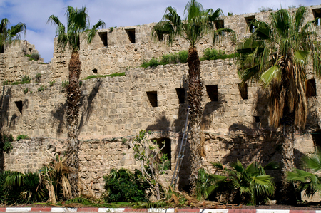 Historical Akko ,Israel Stronghold wall and Palmsのeditorial素材