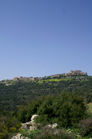 Nimrod Israel bible historic castleの写真素材