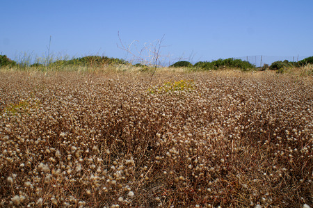 Cretes idyllic Country Farmsideの写真素材