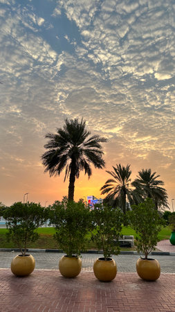 DUBAI, UNITED ARAB EMIRATES. 15 SEPTEMBER 2023. Morning view of palm trees silhouetted against a Dubai hotel backdropのeditorial素材