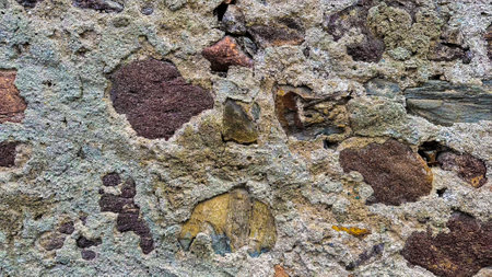 Macro view of stone wall, highlighting unique textures and patterns for a captivating aestheticの写真素材