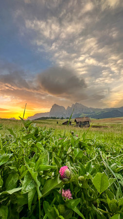 Lustrous dawn light reflects off the Dolomites onto Alpe di Siusi, encapsulating Italy's natural grandeurの写真素材