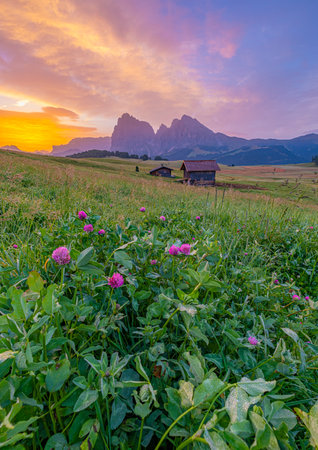 Alpe di Siusi (Seiser Alm), Europe's largest high-alpine pasture in South Tyrol, Italy. Mountains meet rolling green waves in summer, transforming into a winter wonderland under a blanket of snow. A captivating landscape of contrast and beautyの写真素材