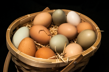 Farm fresh eggs in a basketの写真素材