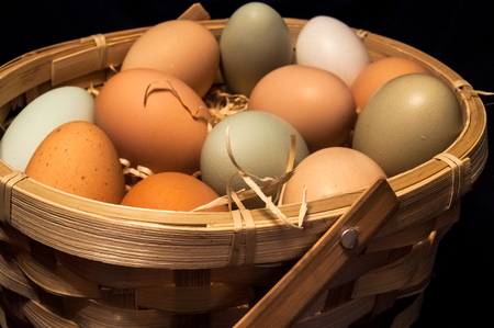 Farm fresh eggs in a basketの写真素材