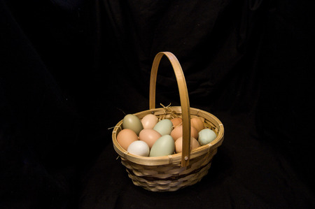 Farm fresh eggs in a basketの写真素材